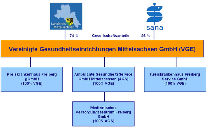 Das Organigram der Vereinigten Gesundheitseinrichtungen Mittelsachsen GmbH (VGE)